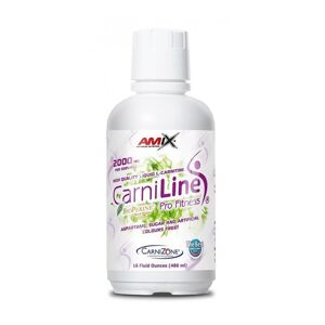AMIX CarniLine ProFitness 2000, 480ml, Sour Cherry