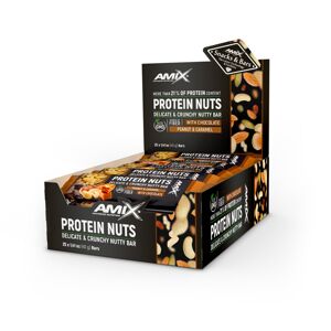 AMIX Protein Nuts Bar , Nuts-Fruits, 25x40g